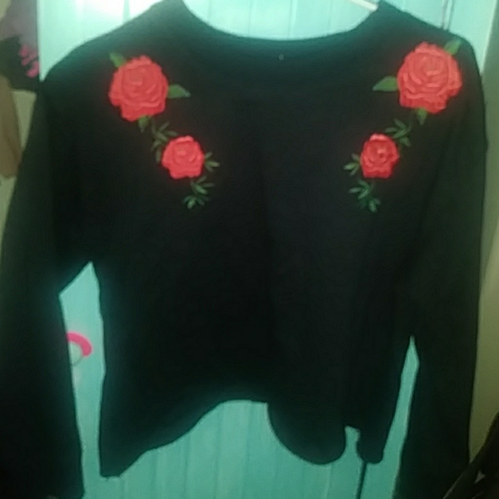 rose embroidered crop top